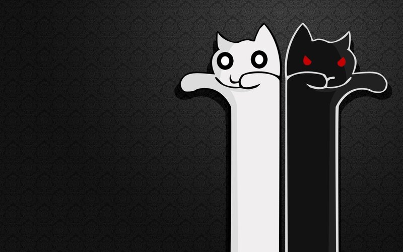 White and black cat characters