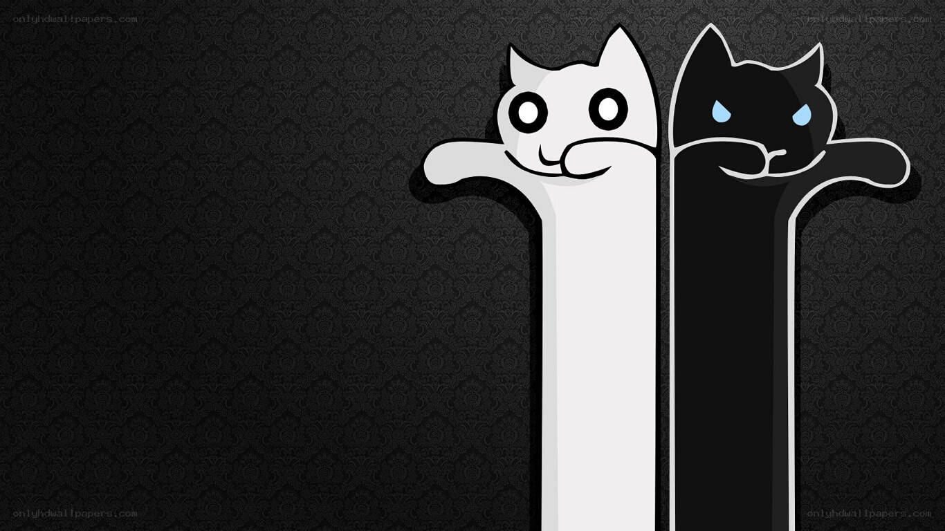 White and Black Cats Wallpaper