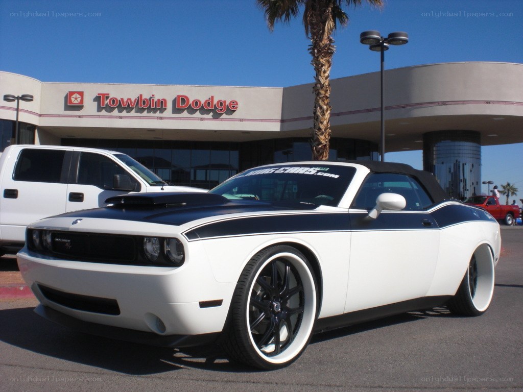 White and black Dodge Challenger