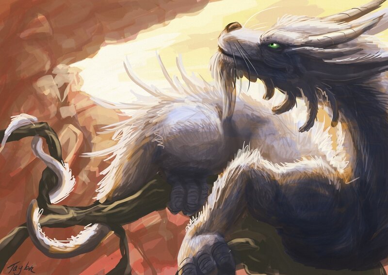 White and Black Dragon — Dramatic, Sunset