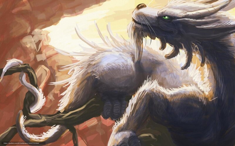 White and Black Dragon — Dramatic