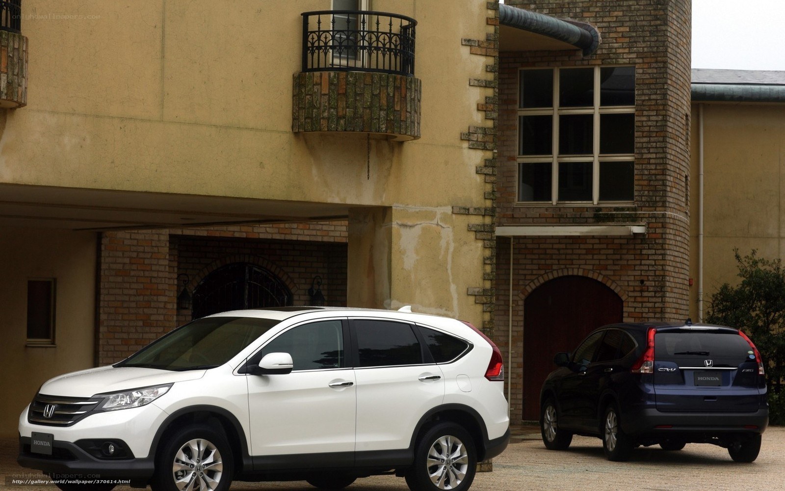 White and black Honda CR-V cars