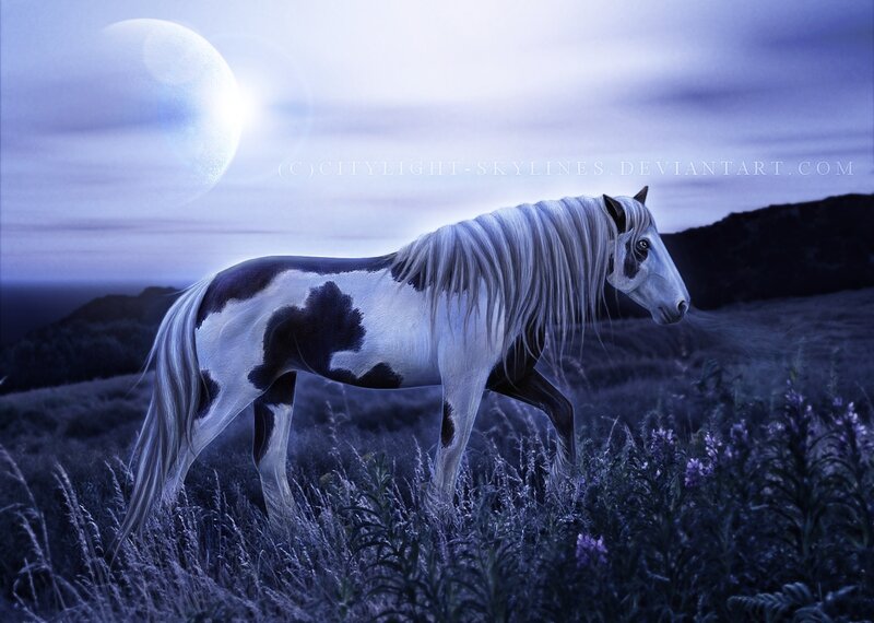 White and Black Horse — Blue