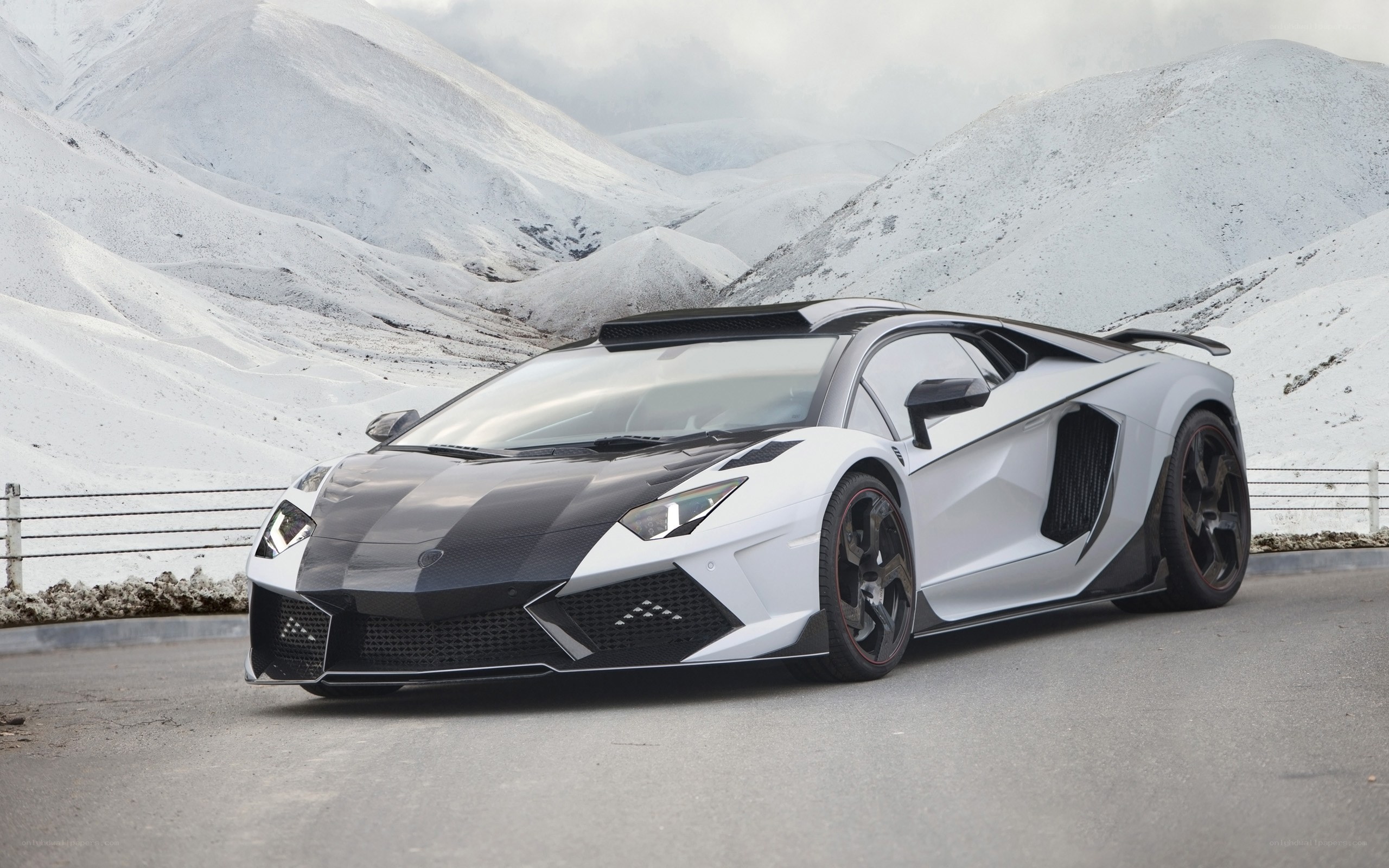 White and black Lamborghini in snow