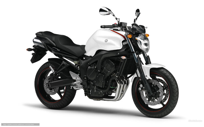 White and Black Motorcycle — Neutral, Photograph, Seat, Headlight, Exhaust