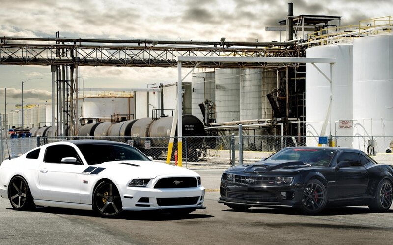White and Black Muscle Cars