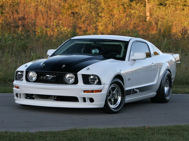 White and Black Mustang