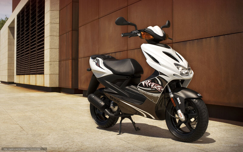 White and Black Scooter — Neutral, Afternoon