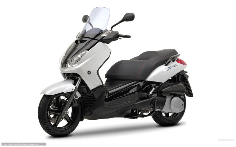 White and Black Scooter — Neutral, Photograph, Windshield, Seat