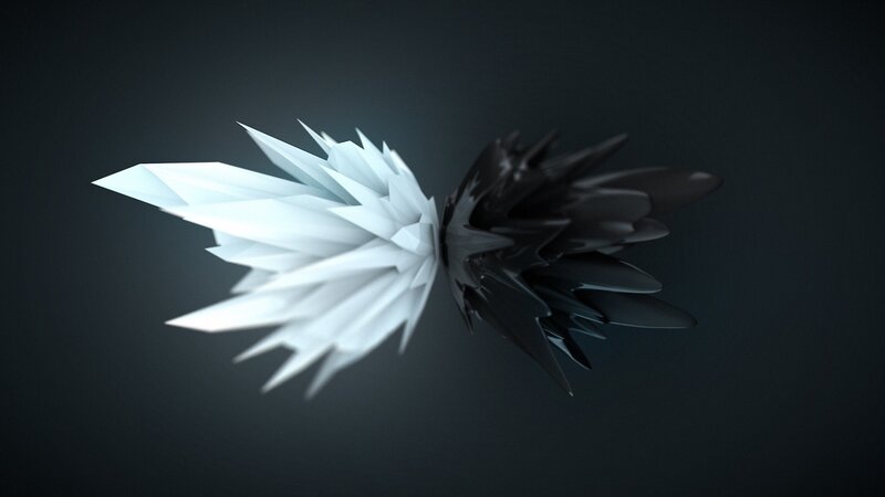 White and Black Wings — Dramatic
