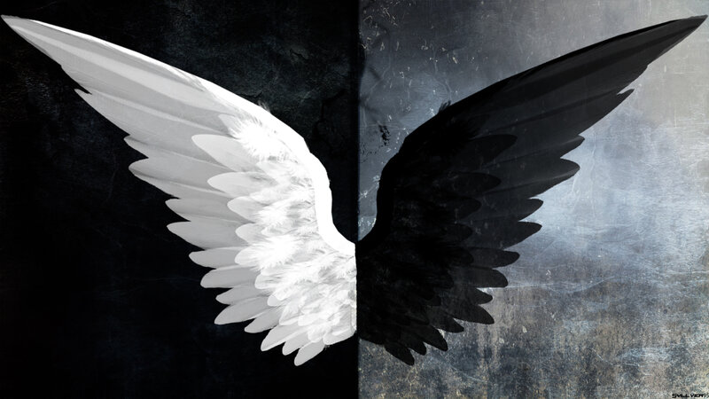 White and Black Wings