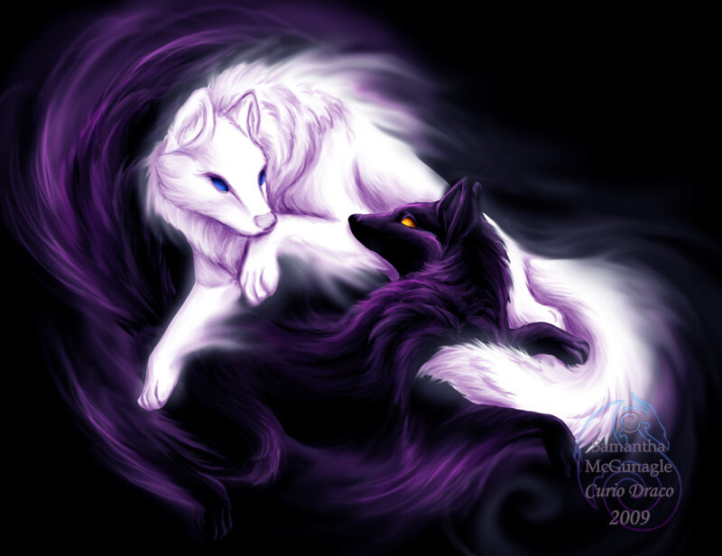 white and black wolf spirits