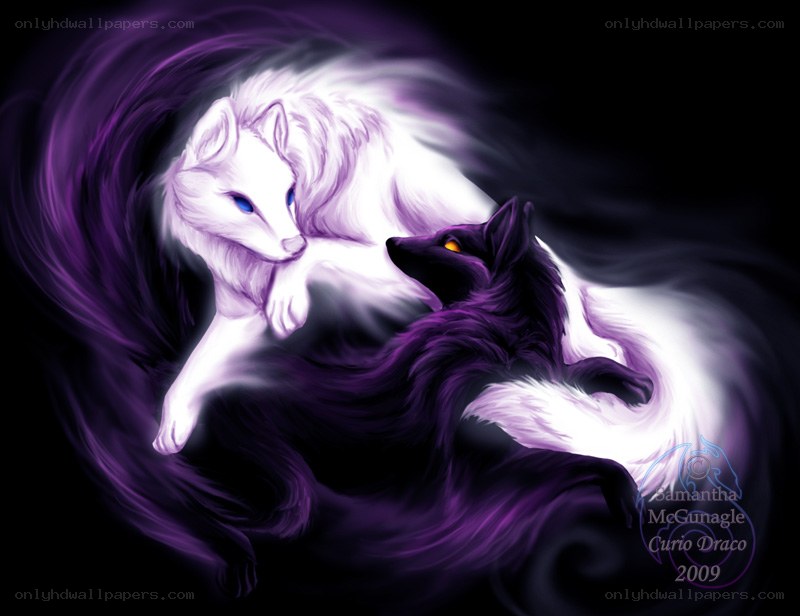 white and black wolf spirits