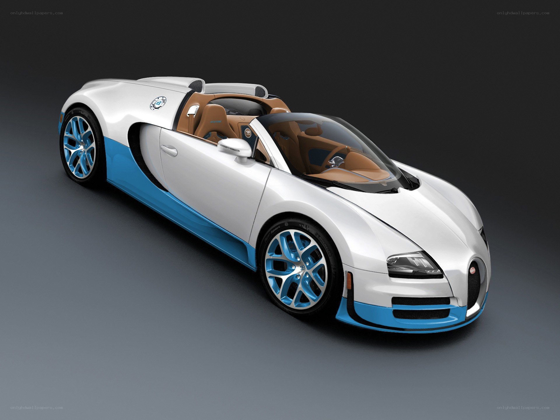 white and blue bugatti veyron