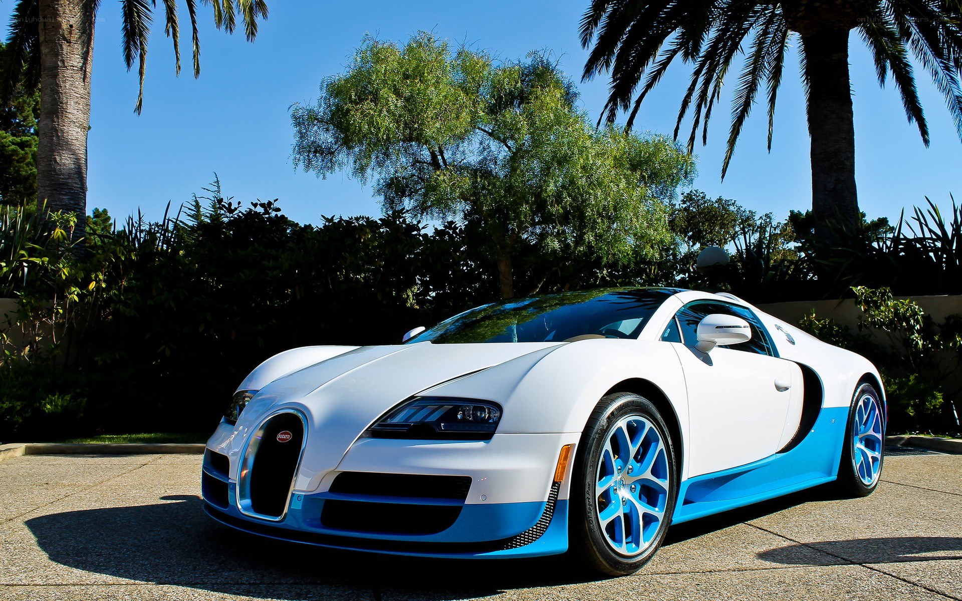 White and blue Bugatti Veyron