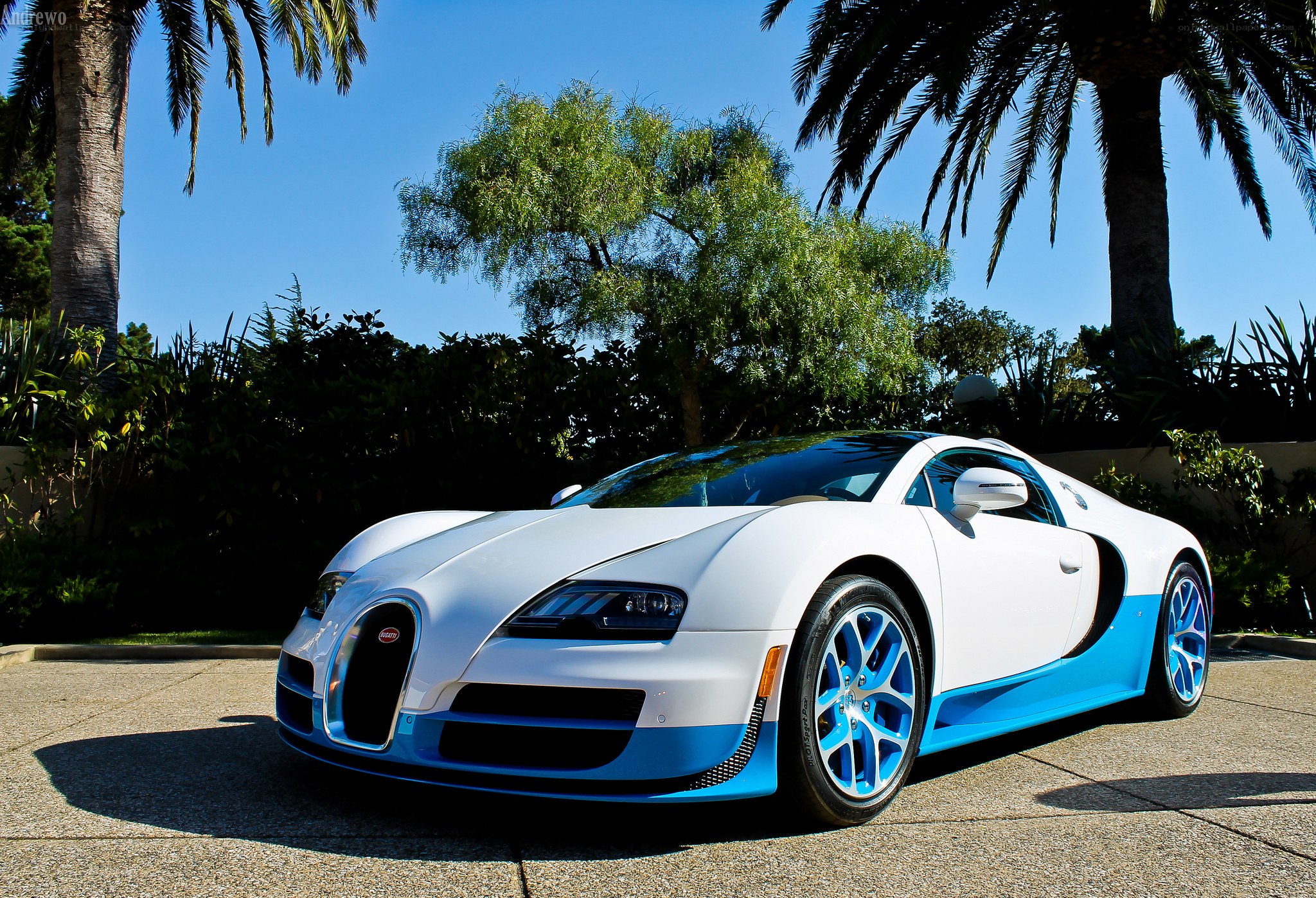White and blue Bugatti Veyron
