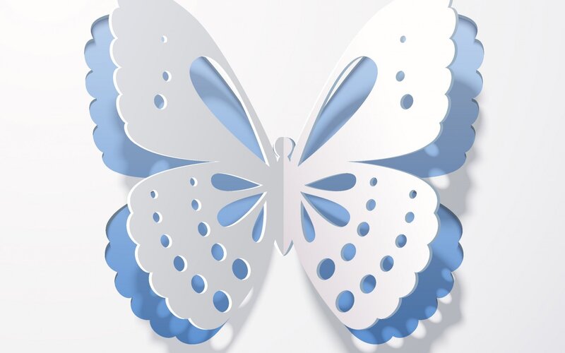 White and Blue Butterfly