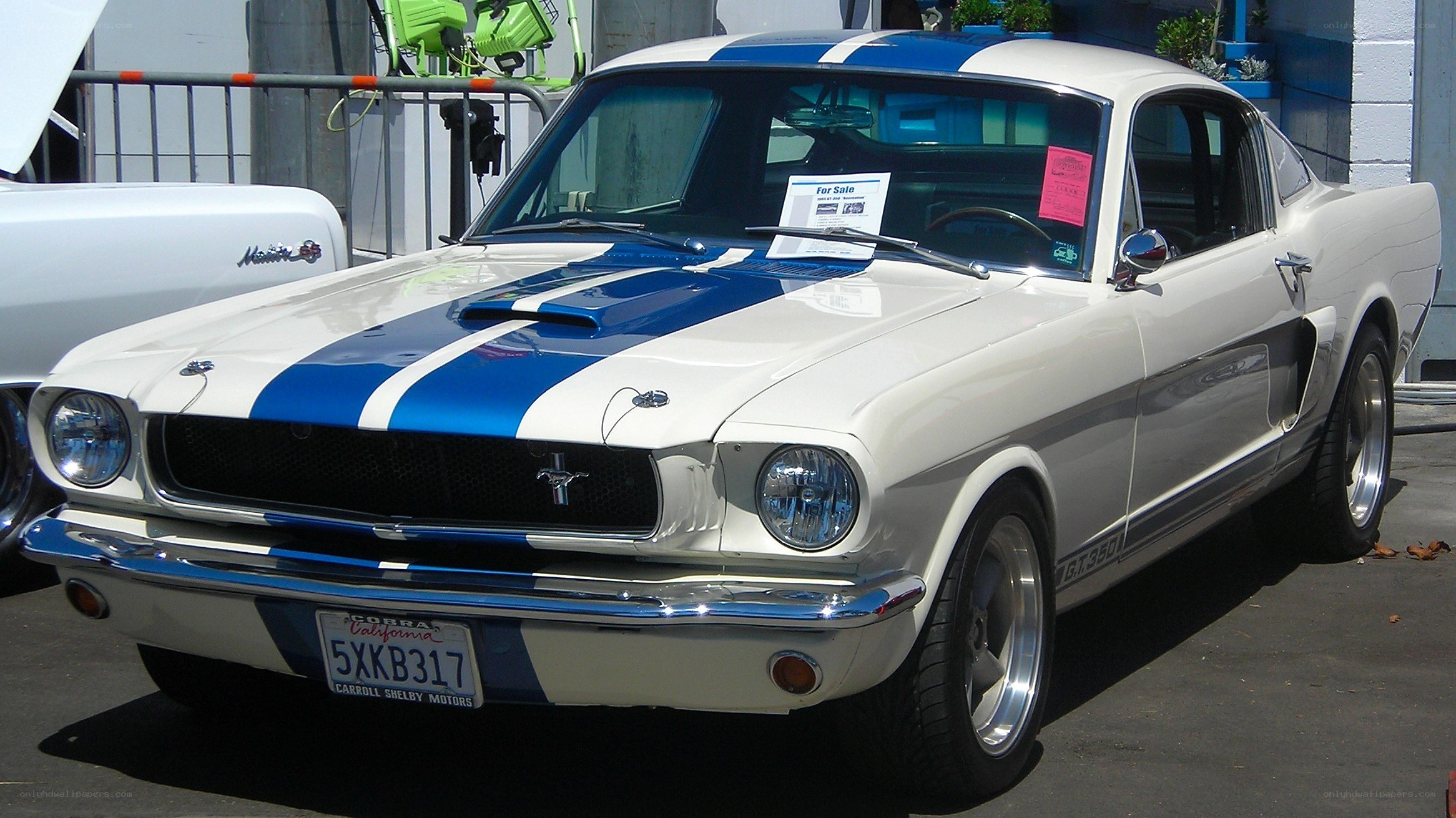 White and blue classic Mustang