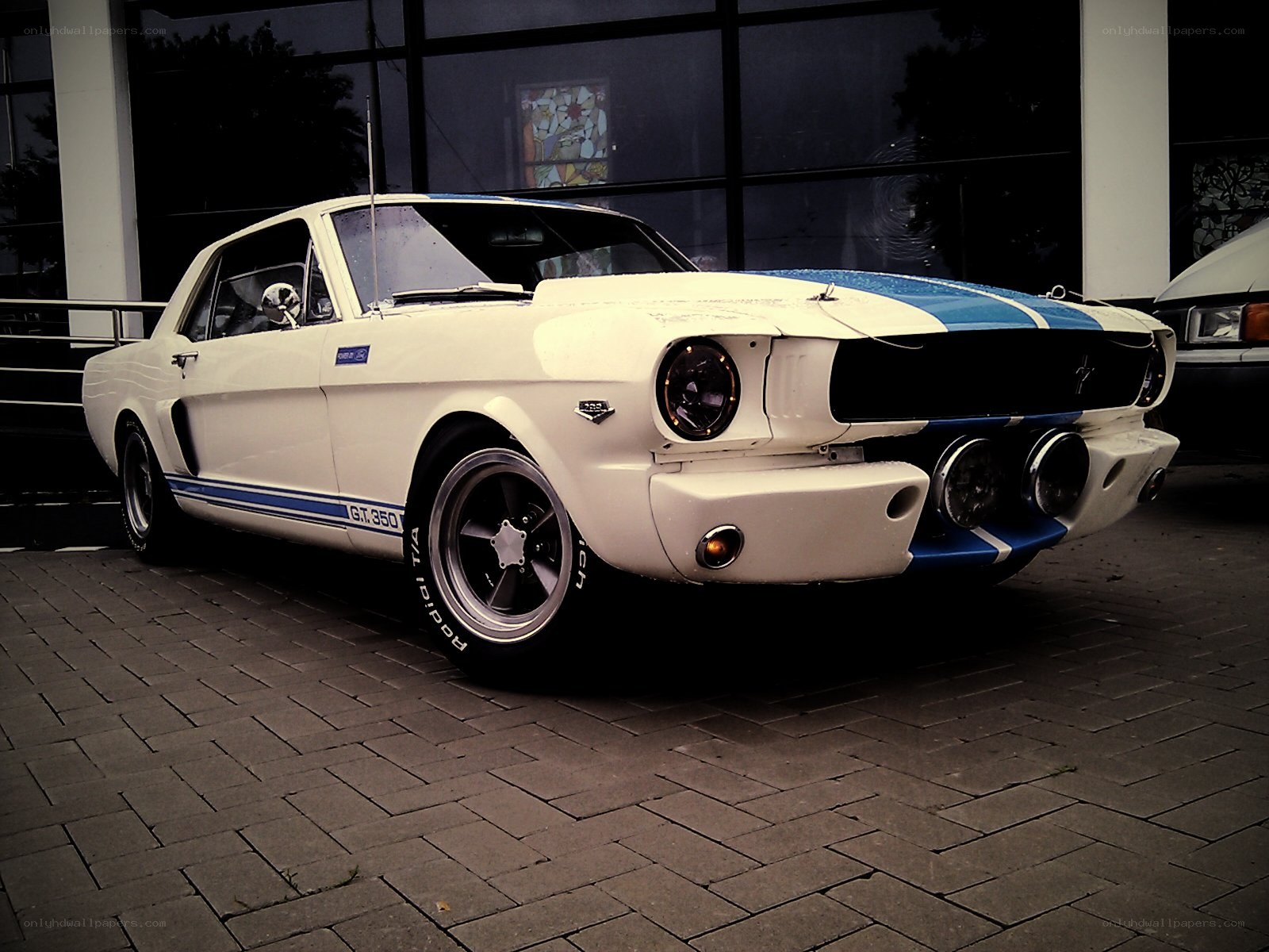 White and blue classic Mustang