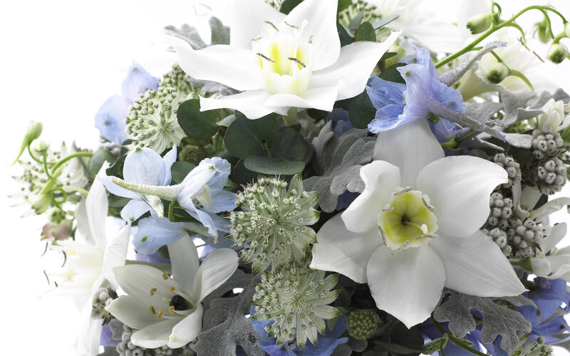 White and Blue Flower Bouquet — Calm