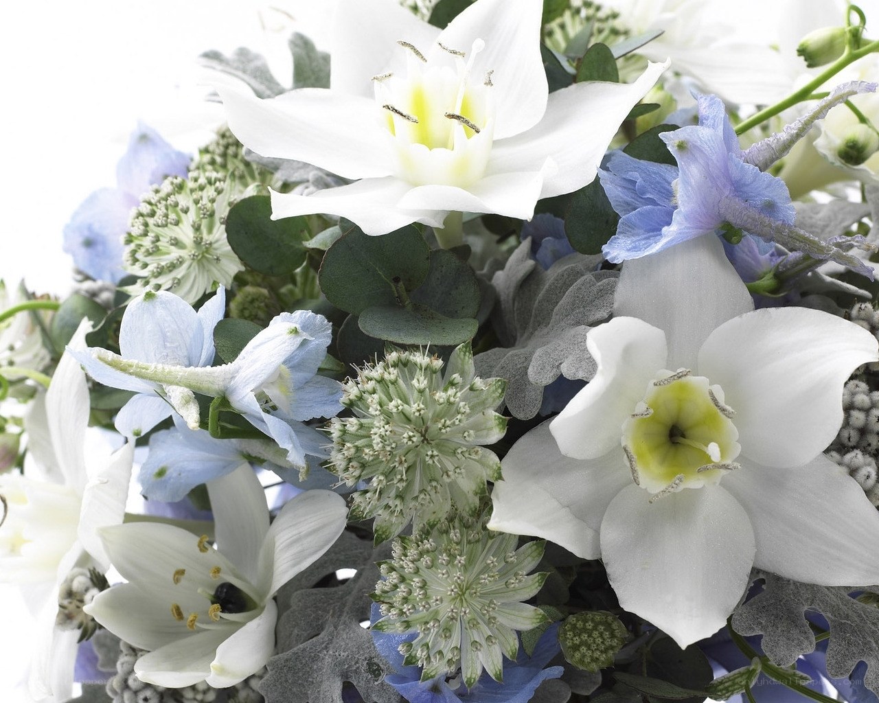white and blue flower bouquet