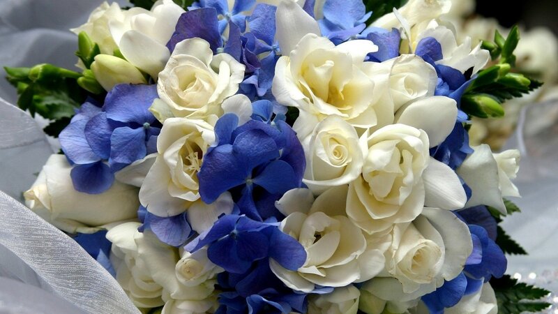 White and Blue Flowers — Calm, Photograph, Roses