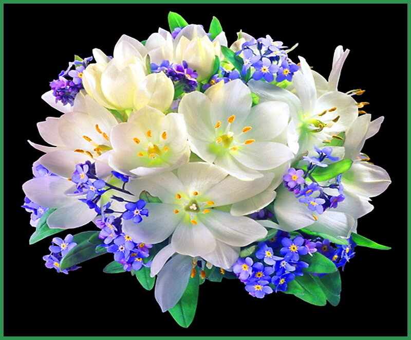 White and Blue Flowers — Calm, Photograph