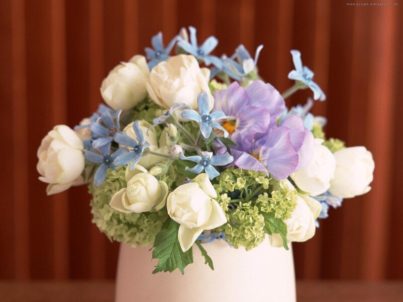 White and Blue Flowers — Calm