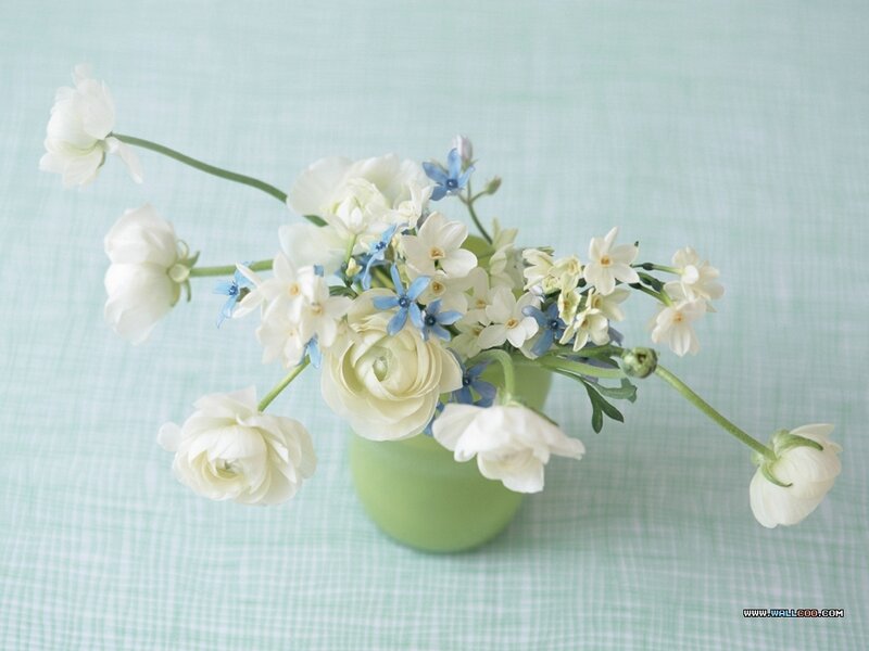 White and Blue Flowers — Green