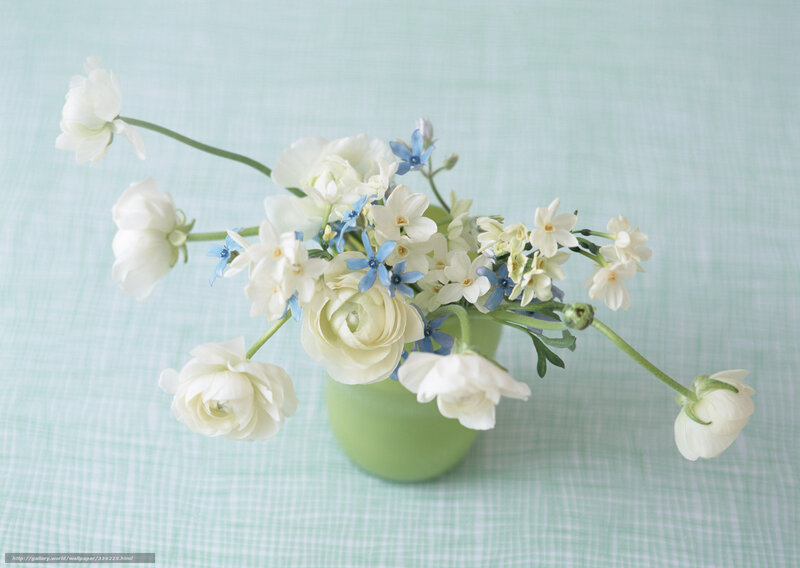 White and blue flowers in a vase