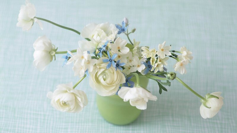 white and blue flowers in vase