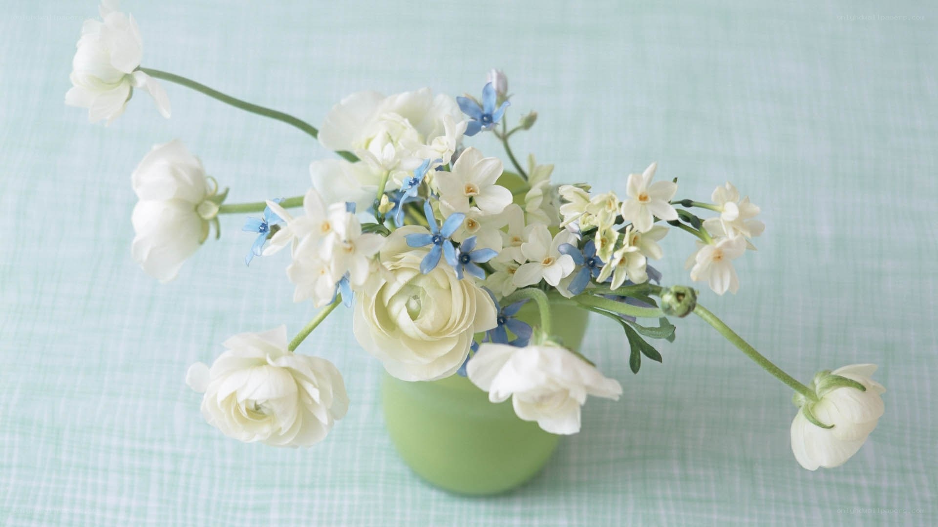 white and blue flowers in vase