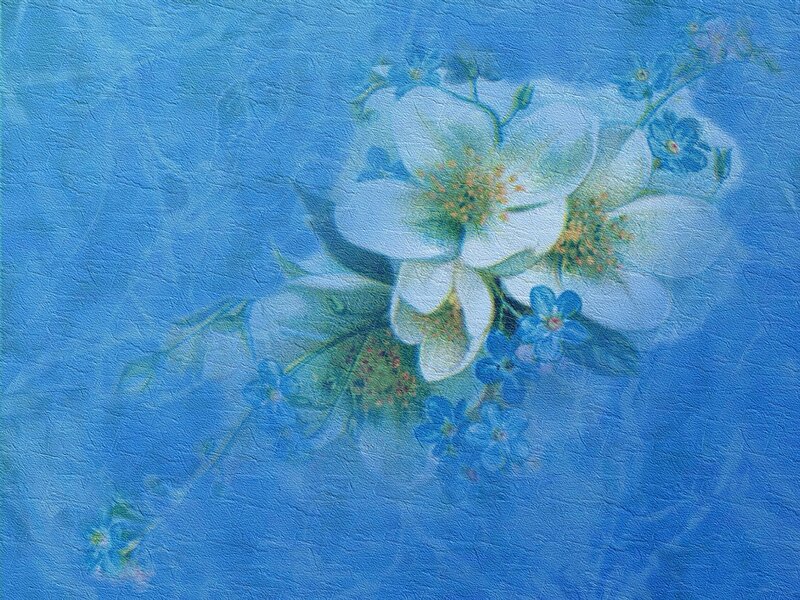 White and Blue Flowers — Serene, Painting