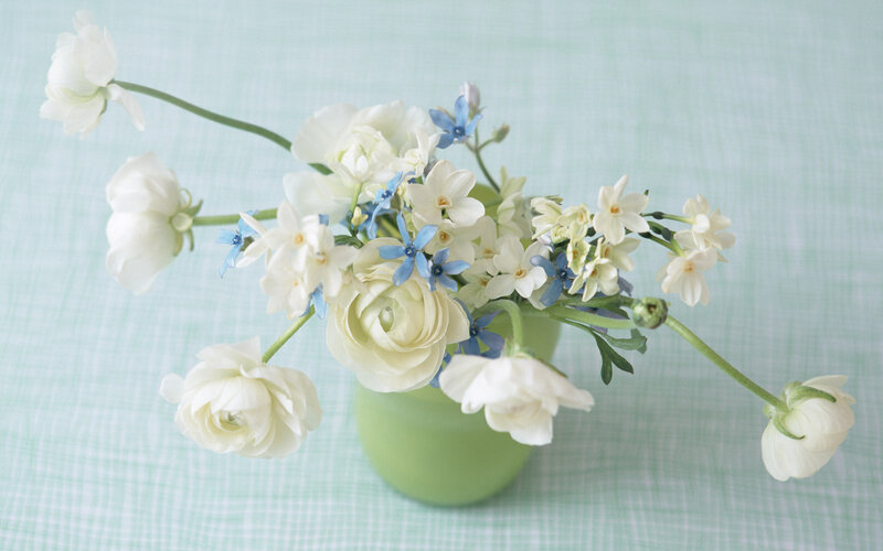 White and Blue Flowers — Serene, Spring, Photograph