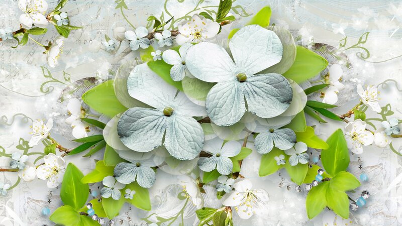 White and Blue Flowers — Serene, Spring