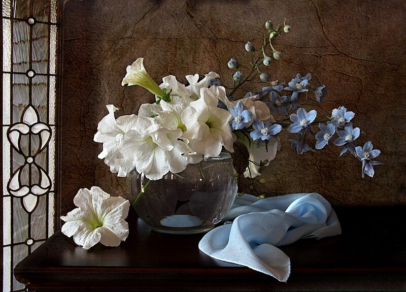White and Blue Flowers — Serene