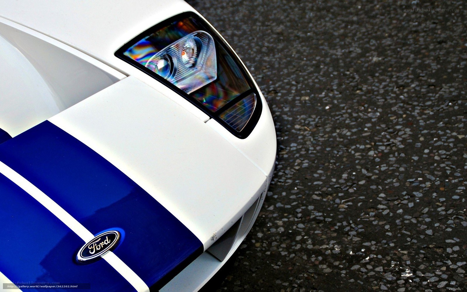 White and blue Ford GT