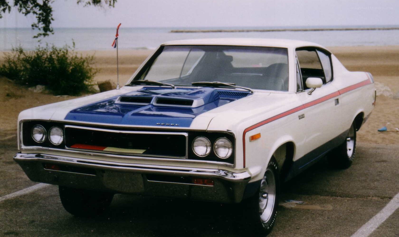 white and blue muscle car