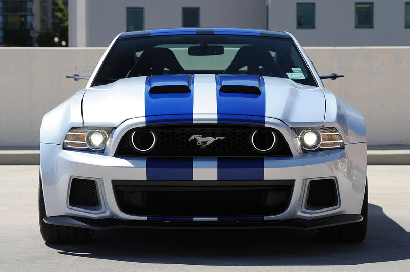 White and Blue Mustang — Dramatic