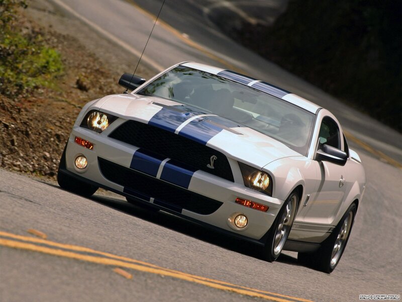 White and Blue Mustang — Dynamic