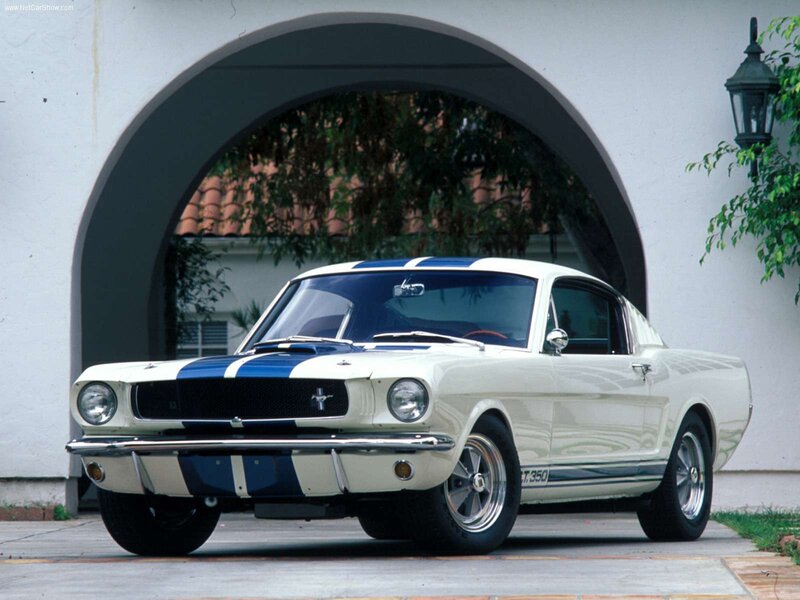 White and Blue Mustang