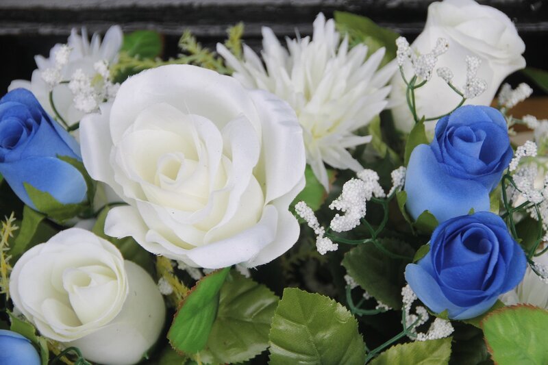White and Blue Roses