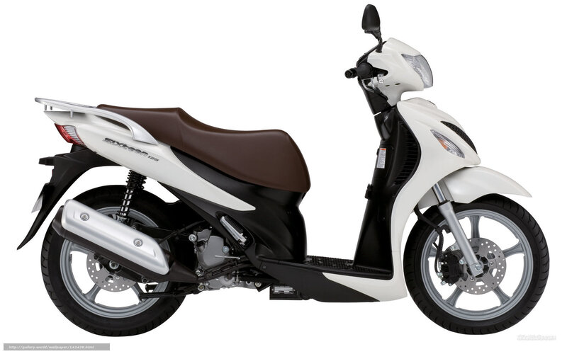 White and Brown Scooter — Neutral