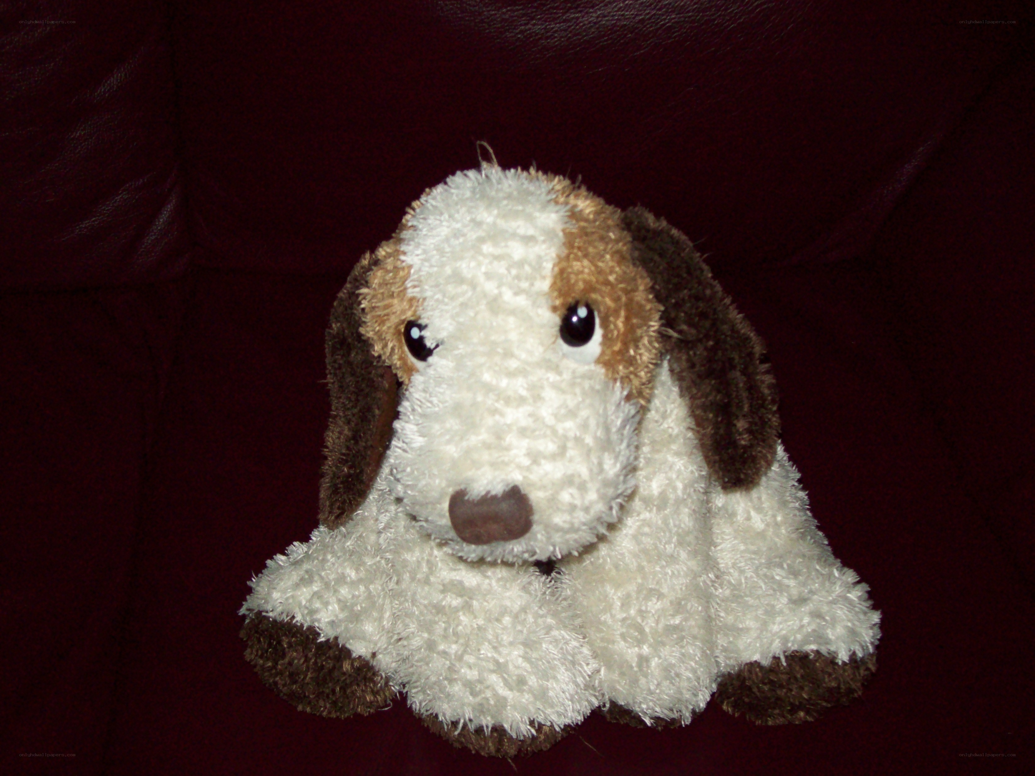 white and brown stuffed dog