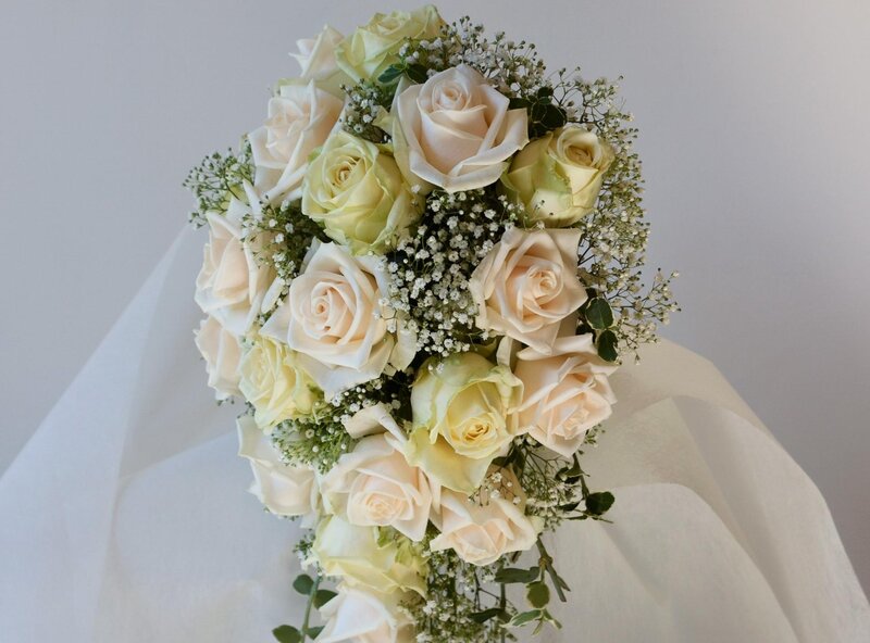 White and Cream Roses — Serene