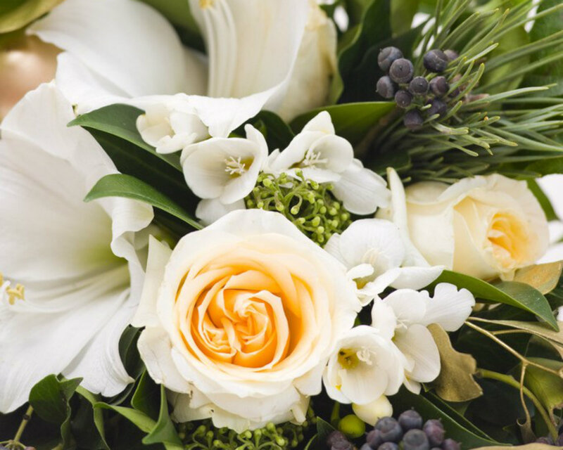 White and Cream Roses