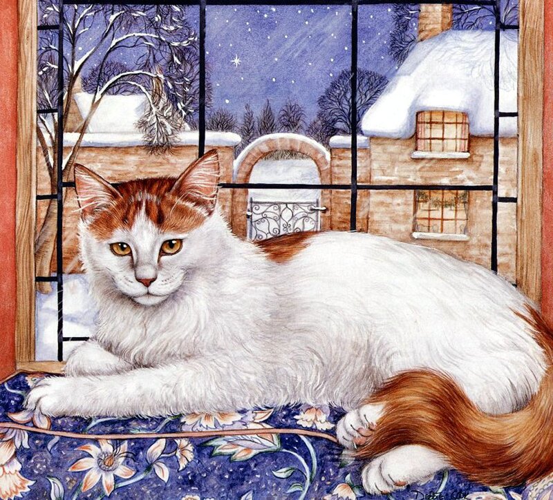 White and Ginger Cat — Serene
