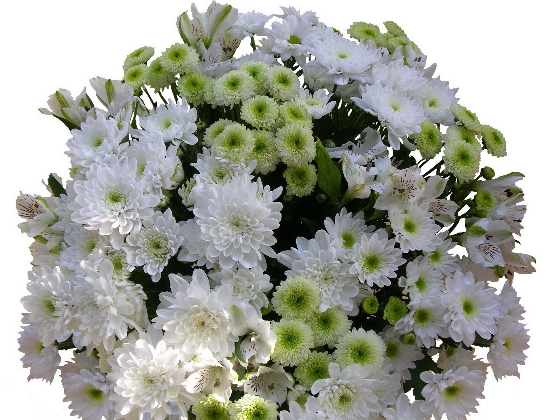 white and green flower bouquet