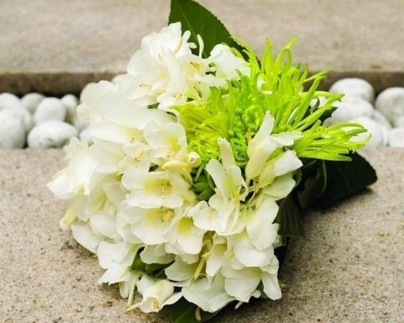 White and Green Flowers — Calm, Photograph