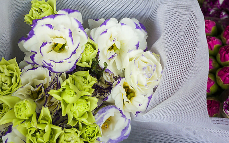 White and Green Flowers — Calm